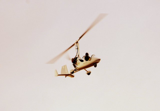 Little Nelly 2 Taormina