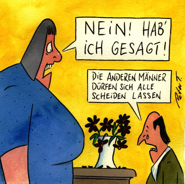 Scheidung cartoon