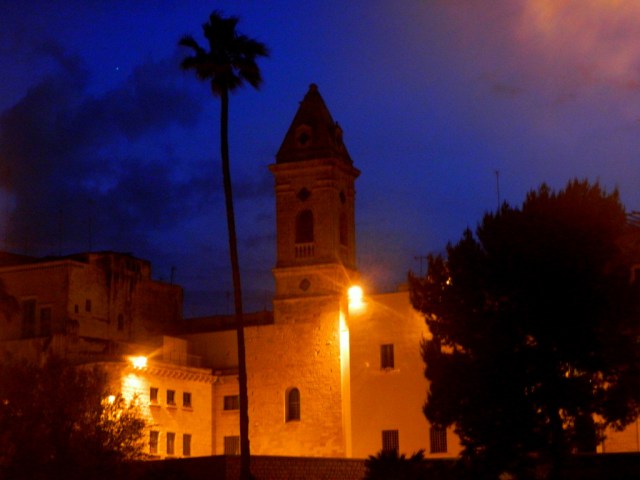 church palm tree Bari