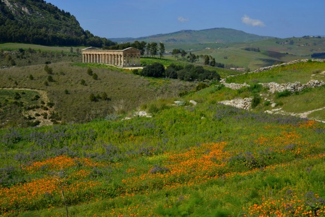 Segesta temple in nature