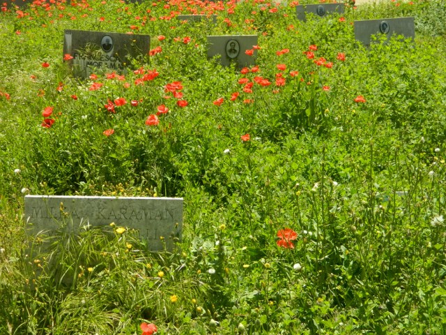 flowers grave necropoli Bari