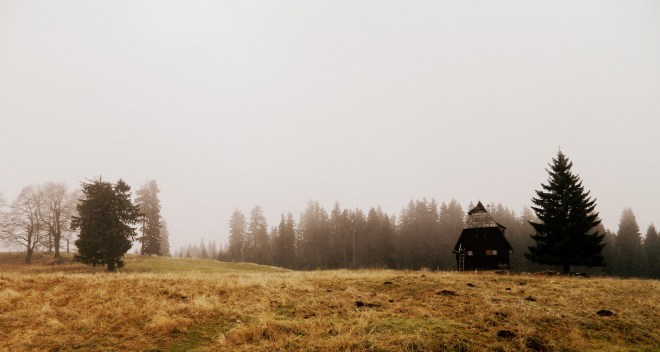 Zabljak highlands house tree