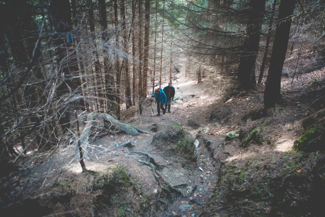 Mutter Piatra Mica 3