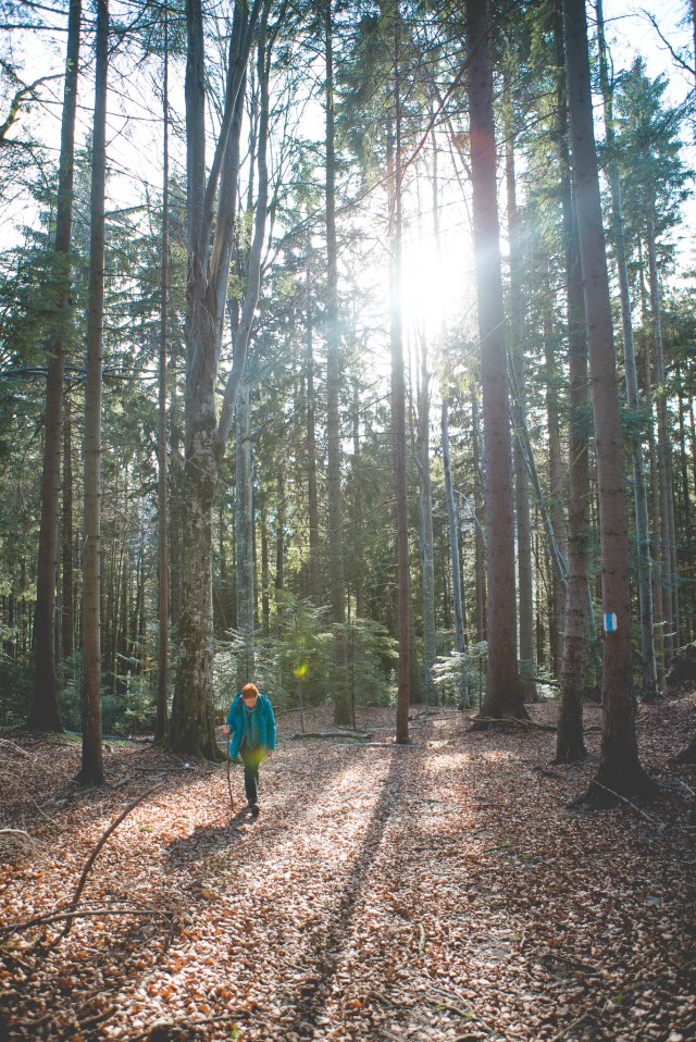 Mutter Piatra Mica 4