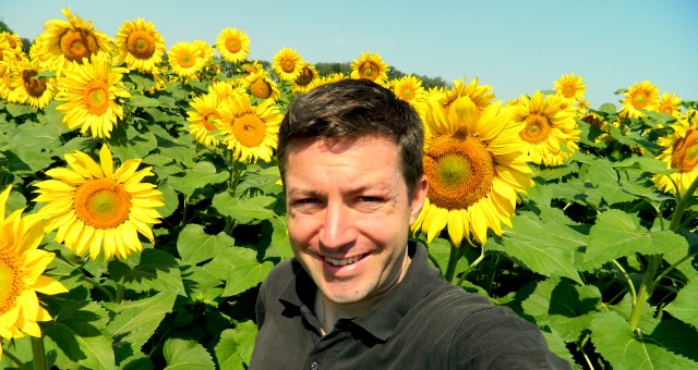 Andreas Moser sunflowers