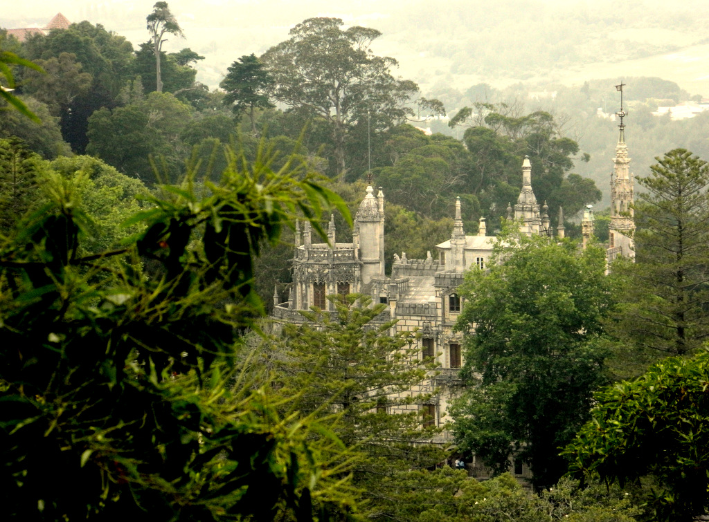 Schloss durch Wald.JPG