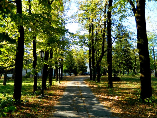 Italian embassy garden