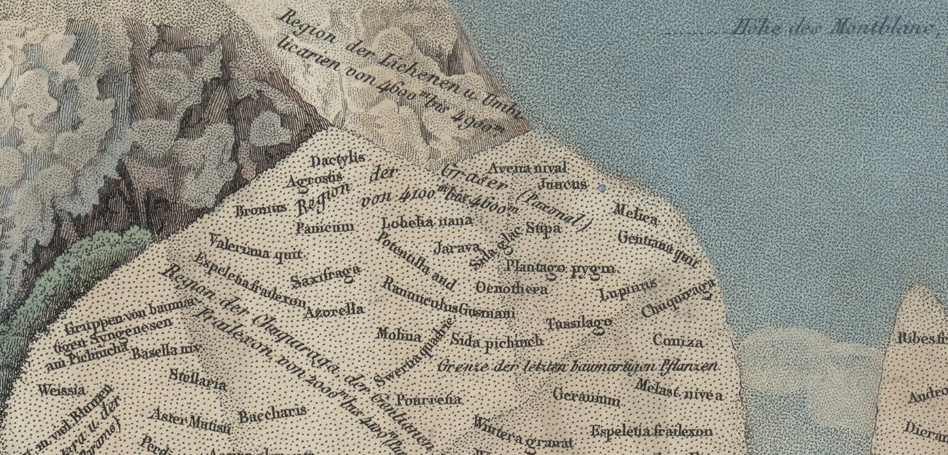 Naturgemälde Detail1