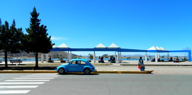 Stilleben mit Käfer.JPG