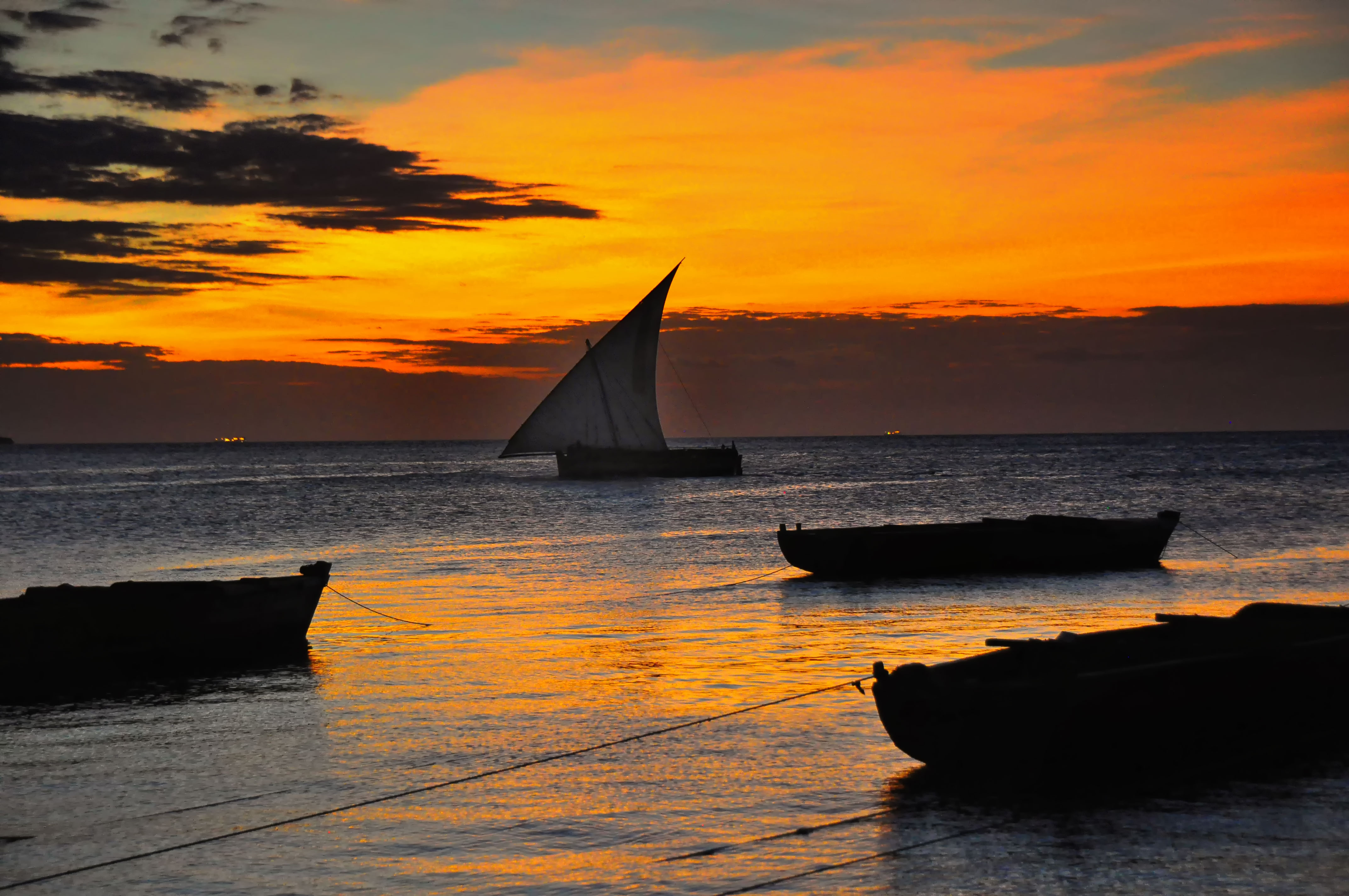 dhow_sunset2c_zanzibar_281016404647529