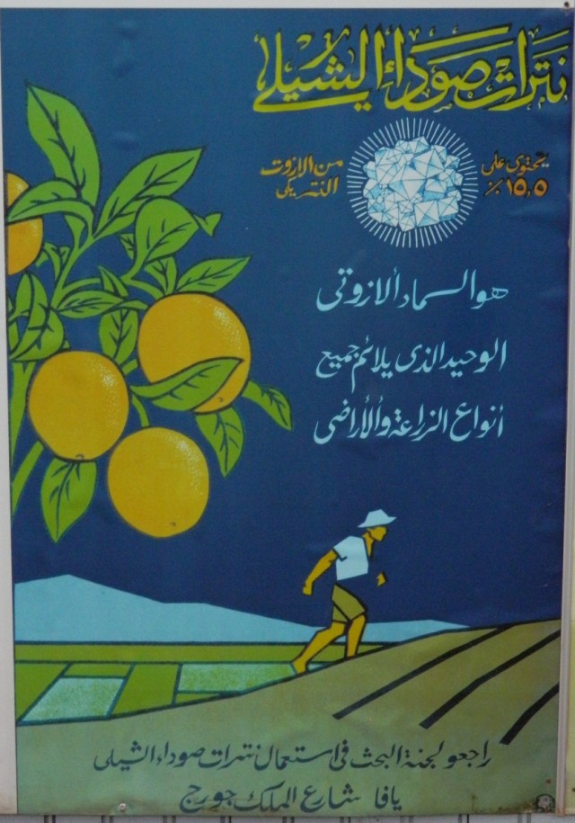 Plakat arabisch oder persisch.JPG