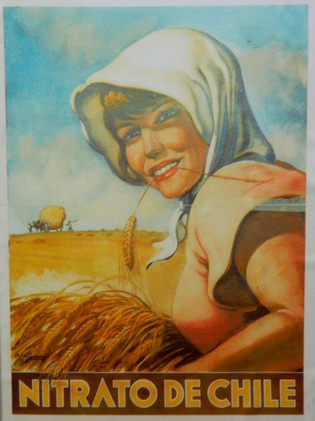 Plakat Frau im Feld.JPG
