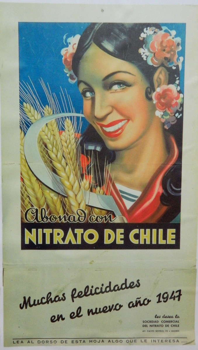 Plakat Frau Sichel