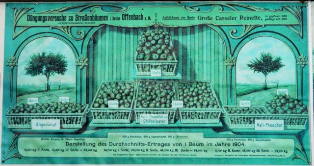 Plakat Statistik.JPG