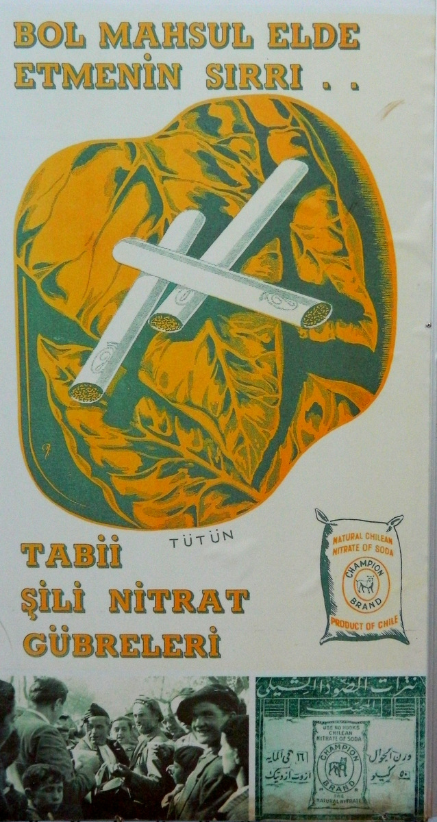 Plakat Zigaretten.JPG