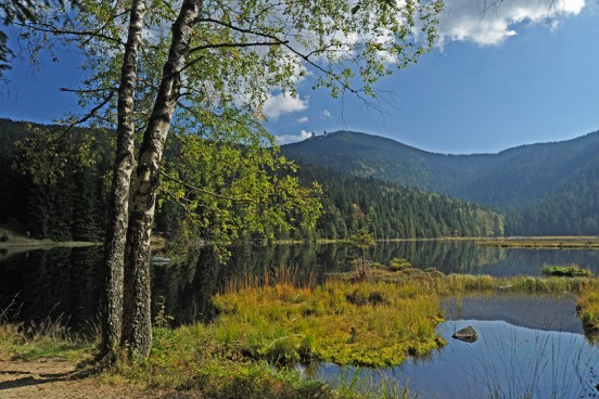 Arbersee klein_DSC28302300dpi.jpeg