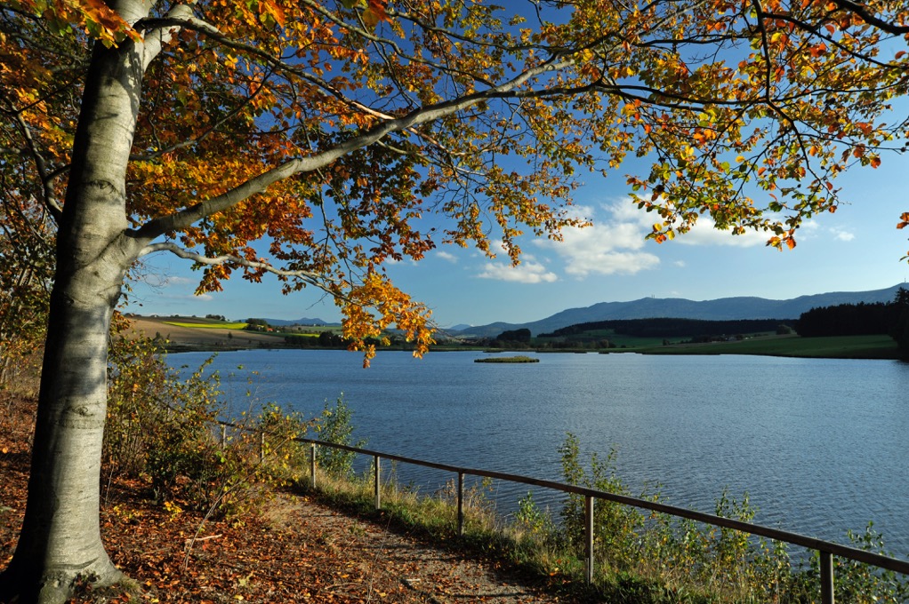 Drachensee bei Eschlkam_DSC3477.jpeg