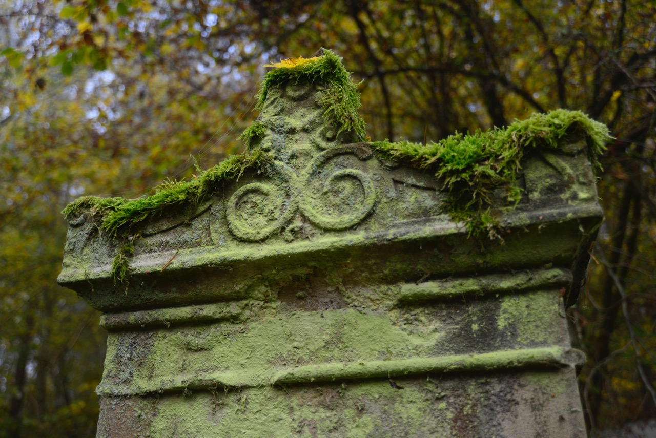 Jüdischer Friedhof detail.jpeg