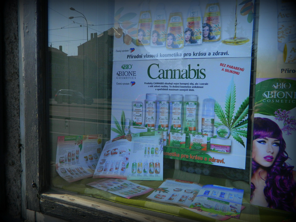 cannabis Pilsen.JPG