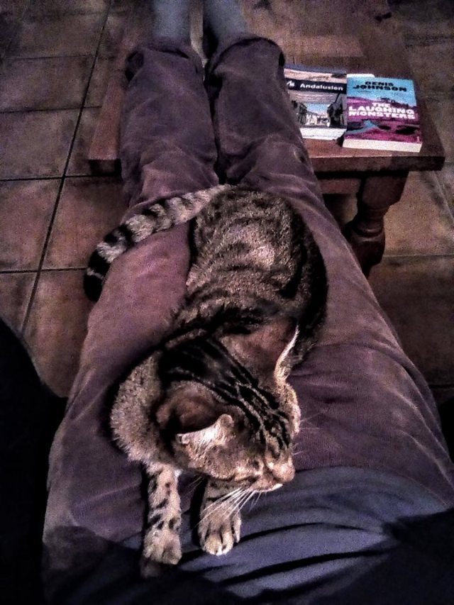 Grace Laughing Monsters.jpg