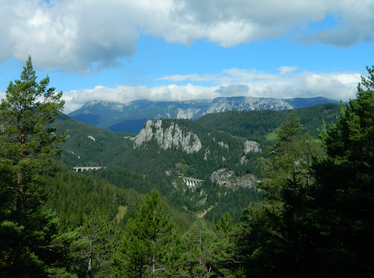 20-Schilling ohne Zug.JPG