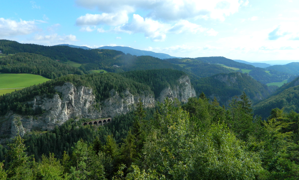 Blick vom Holzturm.JPG