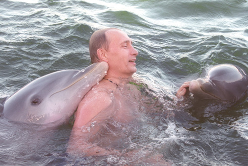 putin-dolphins | Der reisende Reporter