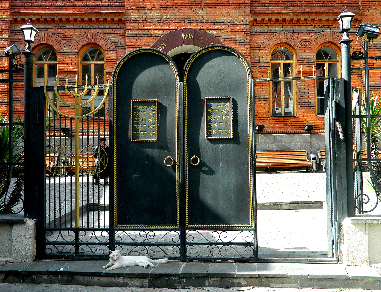 Synagoge Katze.JPG