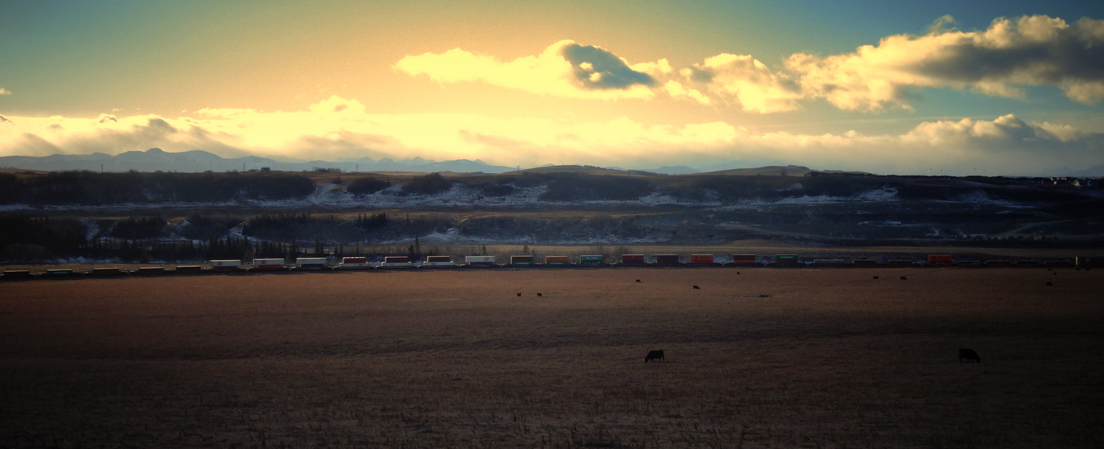 train Glenbow Ranch.JPG