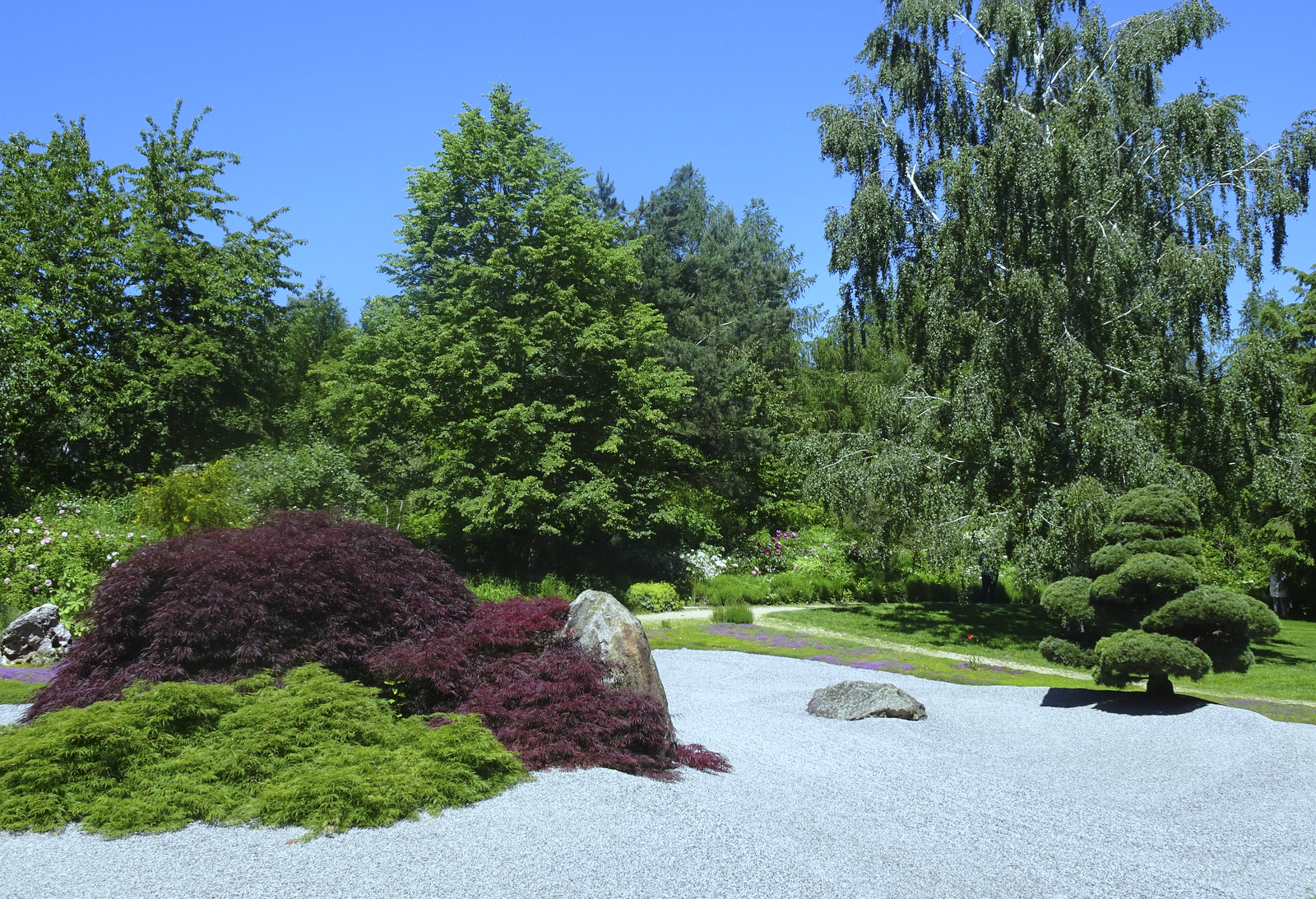 japanischer Garten.JPG