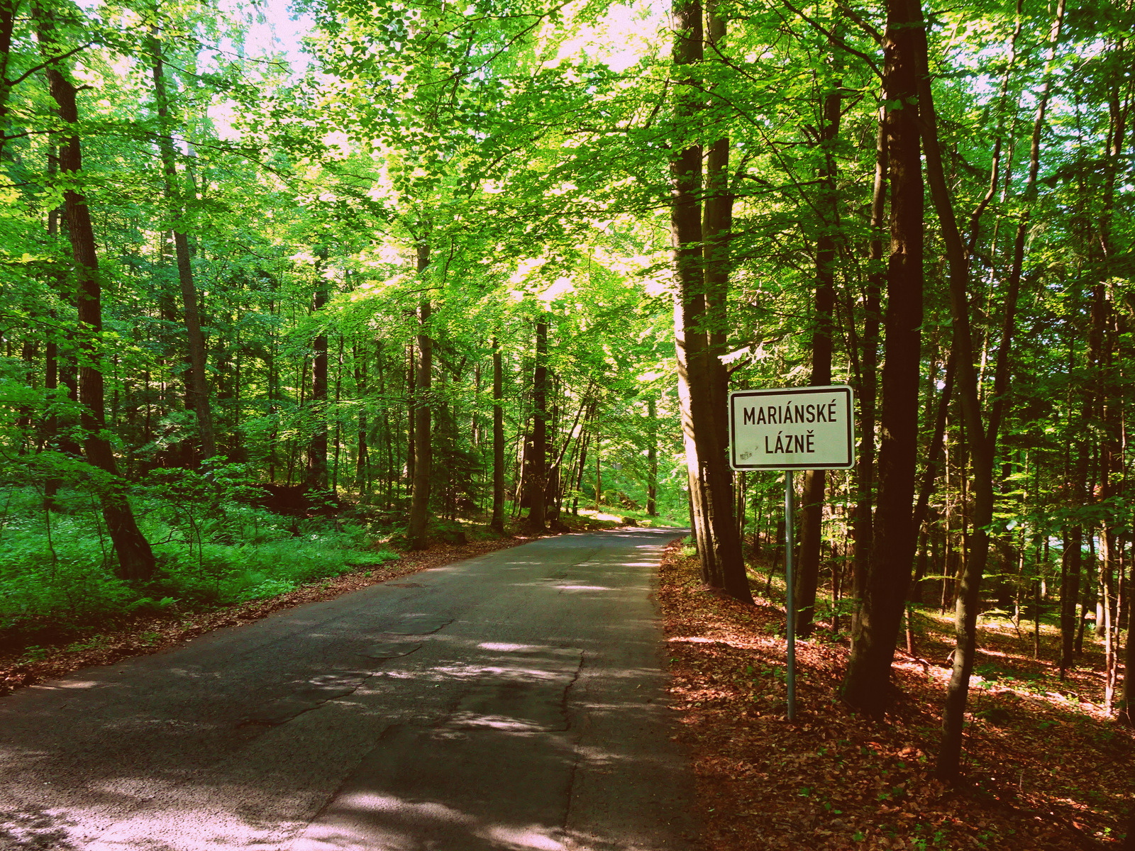 Marianske Lazne Schild