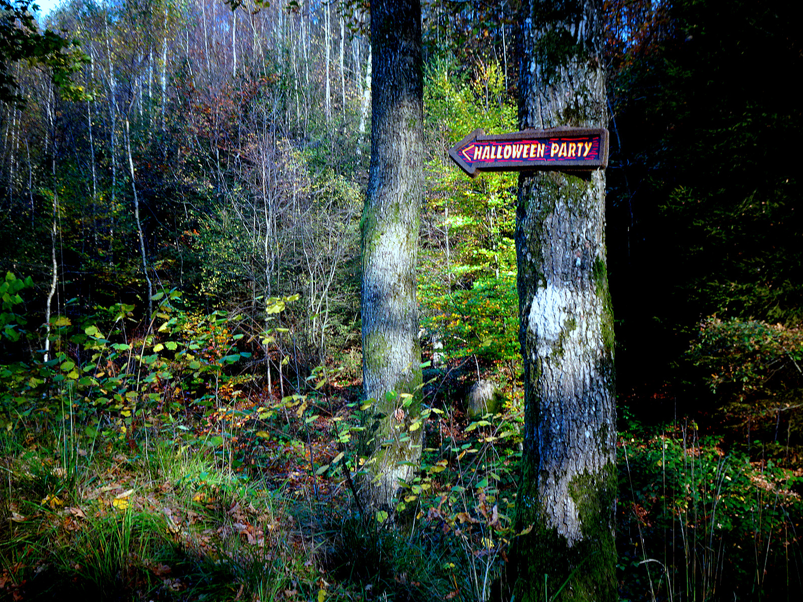 Halloween Party Burg Reinhardstein