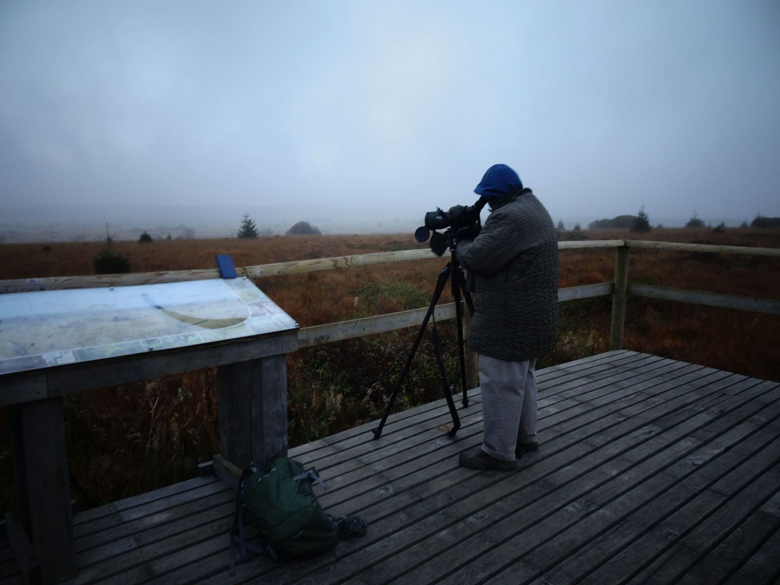 Ornithologe Hohes Venn