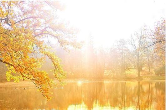 Keti-Kikoshvili-Hangerweiher