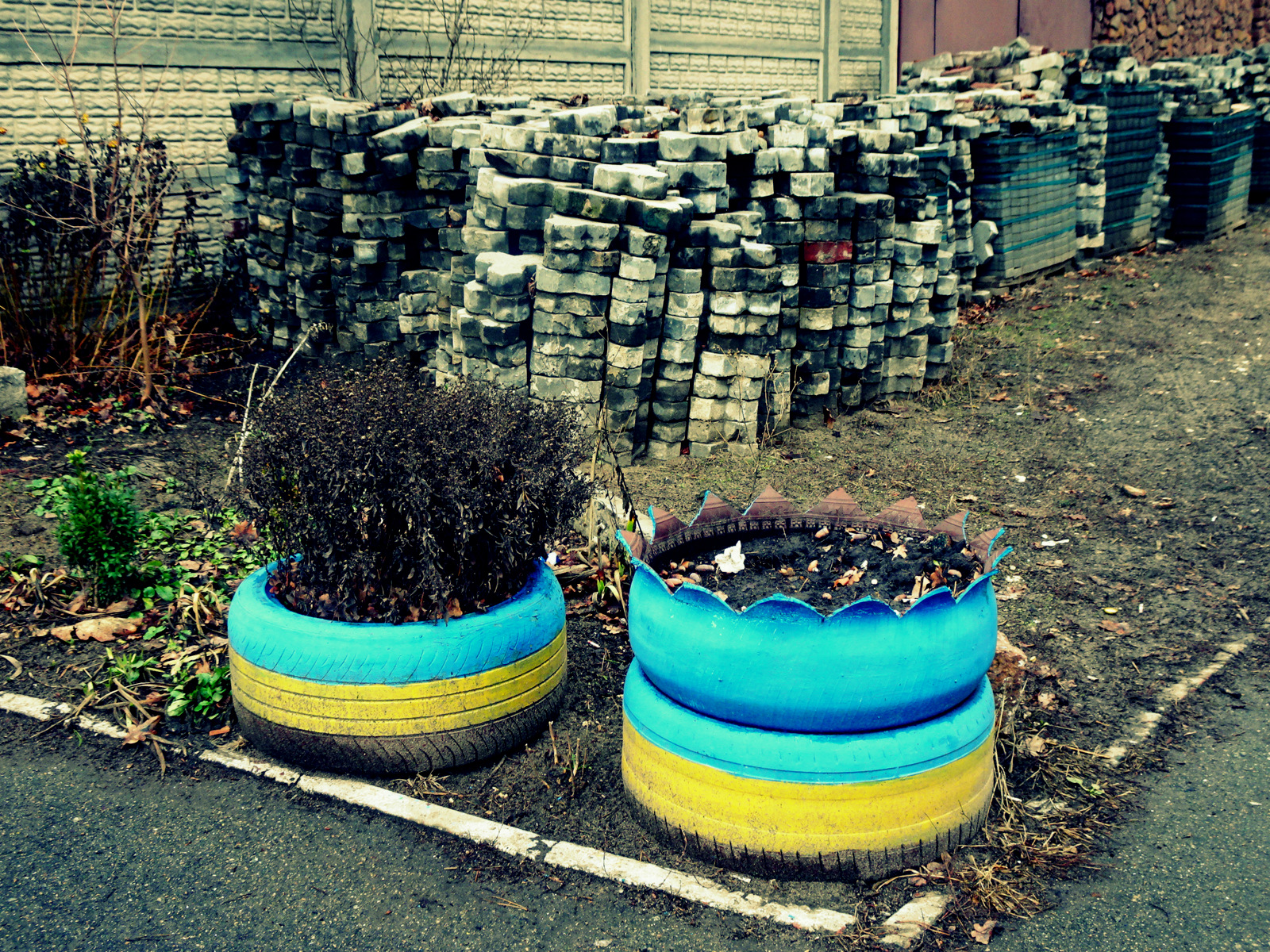 yellow-blue (12)
