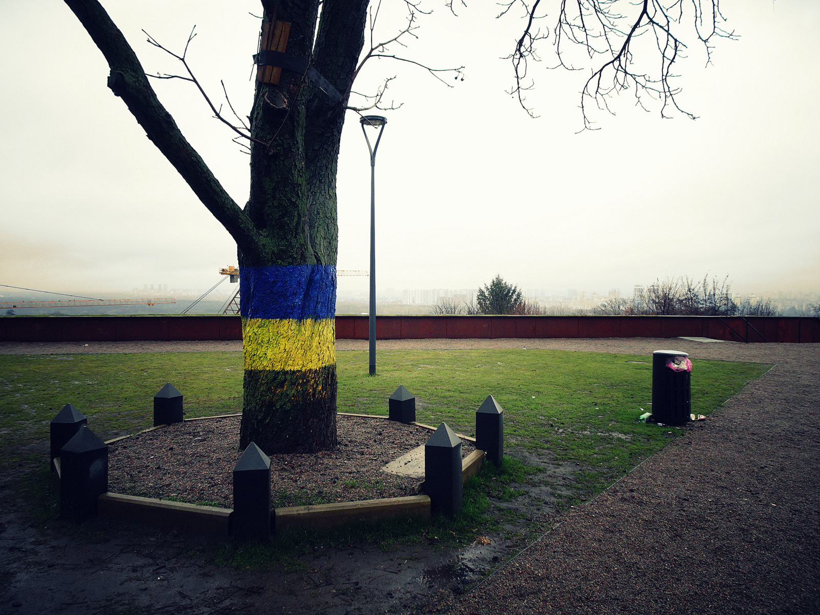yellow-blue (8)