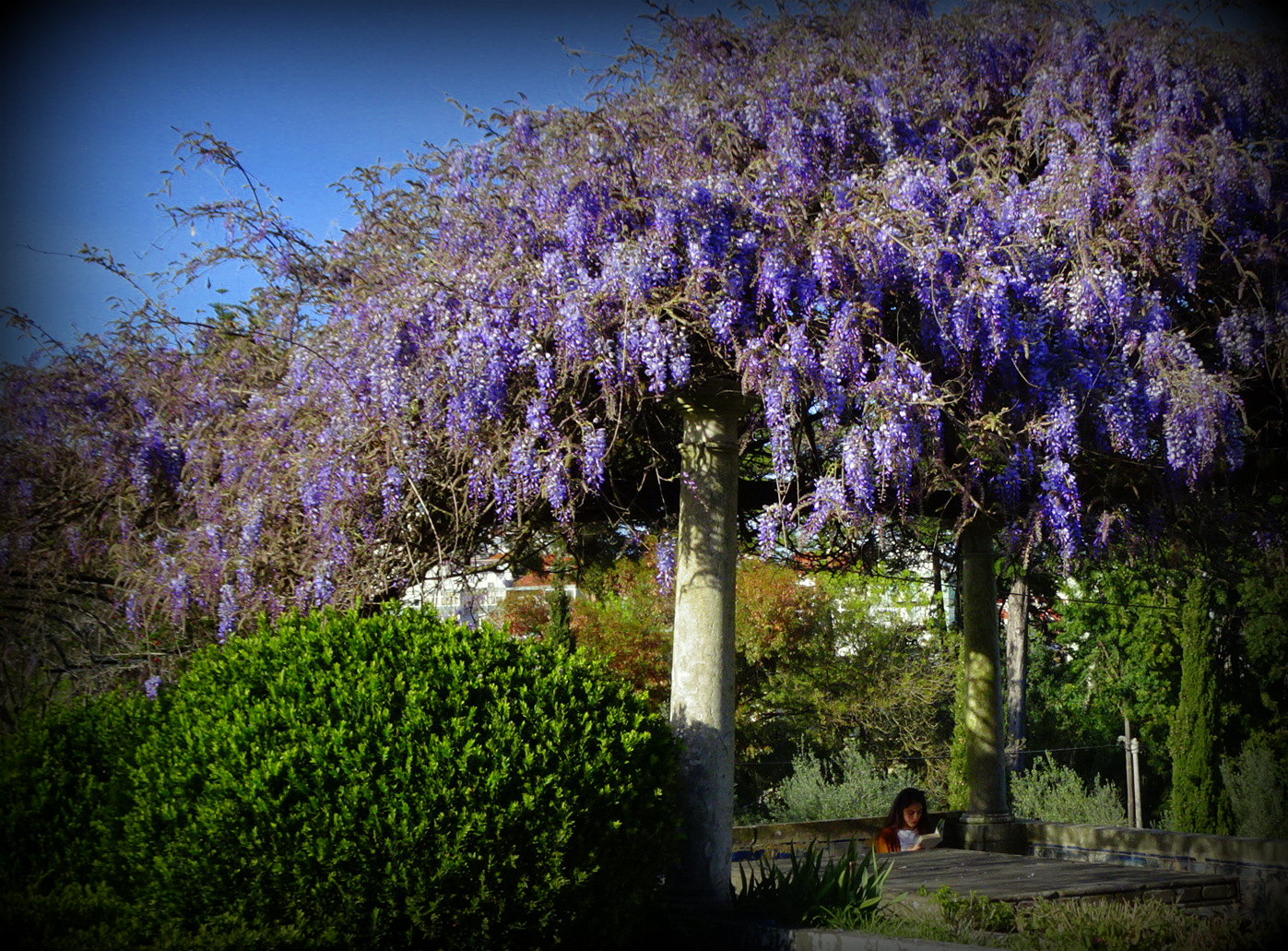 Palacio Fronteira girl with book
