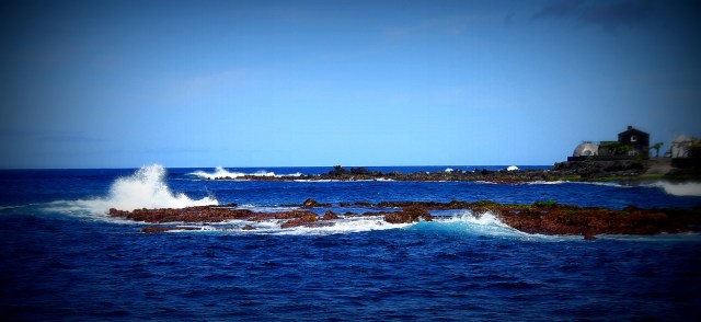 Cellar Bar Madalena Pico (1)