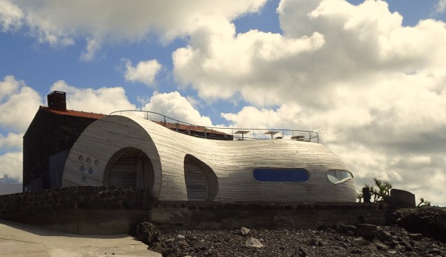 Cellar Bar Madalena Pico (3)