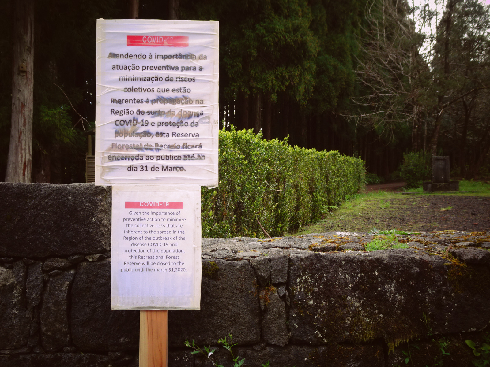 Covid 19 warning Faial