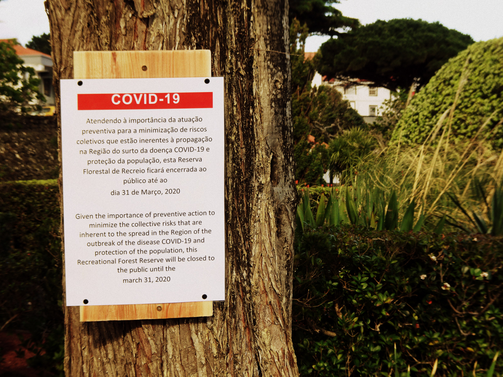 Covid 19 warning Pico