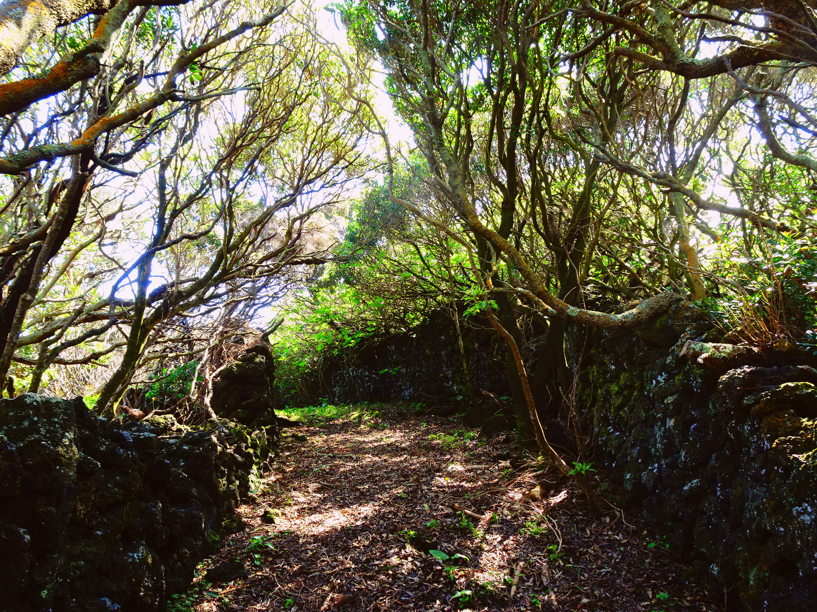 Inka or Roman street on Pico