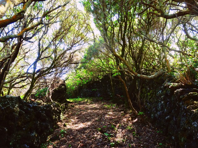 Inka or Roman street on Pico