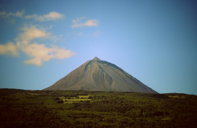 Pico (1)