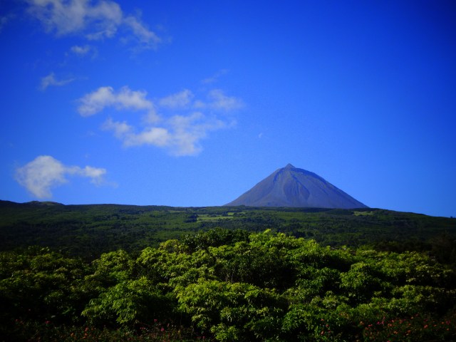 Pico (2)
