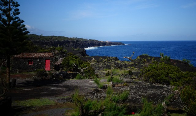 wine cellar with red door Pico